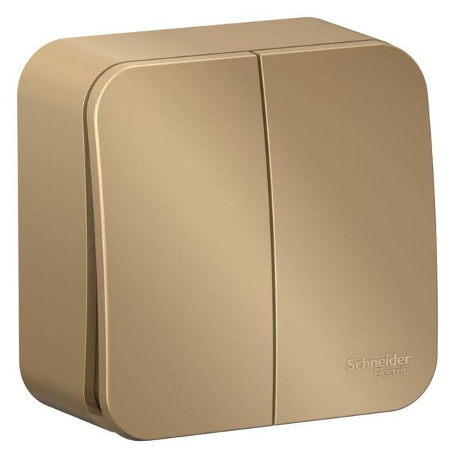 Выключатель 2-кл. ОП Blanca 10А IP20 (сх. 5) 250В с изолир. пластиной титан SE BLNVA105014