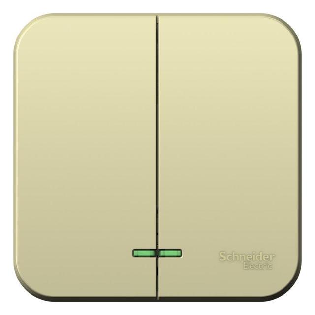 Выключатель 2-кл. ОП Blanca 10А IP20 (сх. 5) 250В с подсветкой с изолир. пластиной беж. SE BLNVA105117